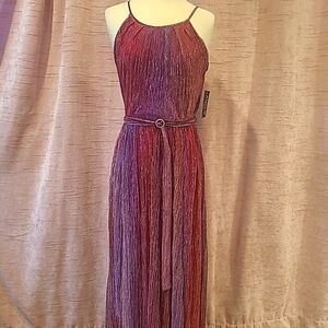 Alexa B Nites long shimmery dress sz4 NWT